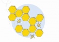 Breeding1.JPG