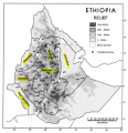 AmssaluMelliferaSubspecies Ethiopia2004 ET.PNG