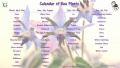 Bee-Calendar-of-Plants.jpg