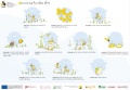 10 rules of honey bee management AMHARIC VERSION .jpg