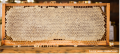 Honeycomb.png