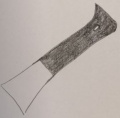 Thumbnail for version as of 16:36, 28 November 2019