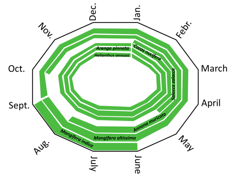 File:Bild1.png