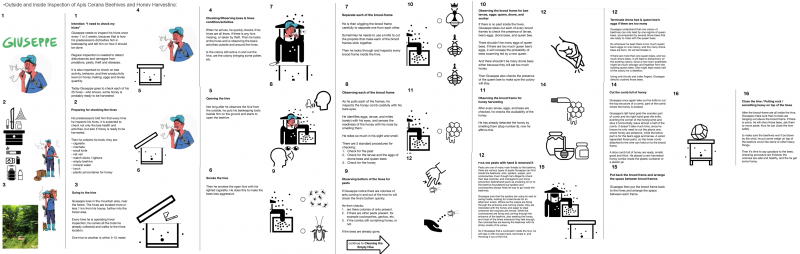 File:ASisOutsideInsideInspectionIND.png