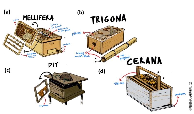 File:Mitasillustrations HiveTypesIndonesia.png