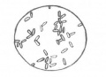 Thumbnail for version as of 15:05, 4 December 2019