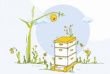 ProvideSafeEnvironmentBees1.JPG